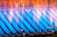 Gleann gas fired boilers